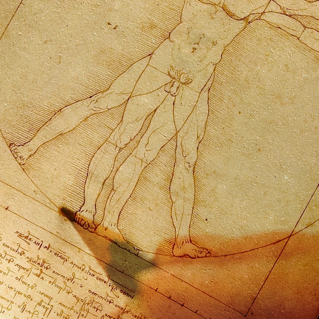 Figure Drawing