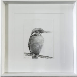 Kingfisher - Rachel Savage