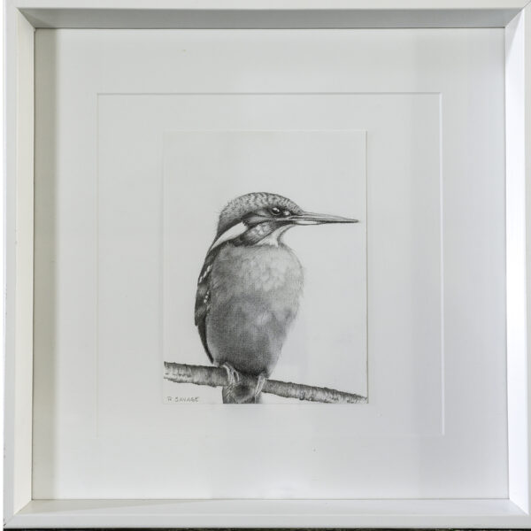 Kingfisher - Rachel Savage
