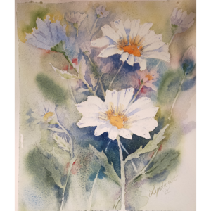 Daisy Study - Lynda Scott