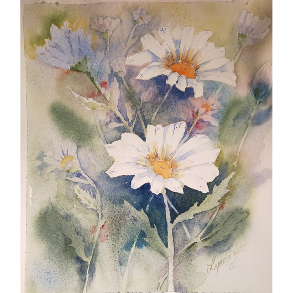 Daisy Study - Lynda Scott