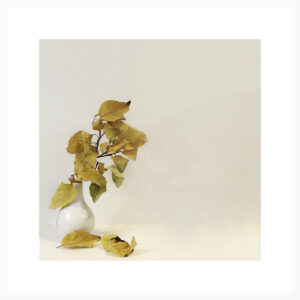 Autumn Flowers - Nel Davison