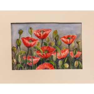Poppies - Barbara Jaine