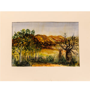Boab Trees Western Australia  - Barbara Jaine