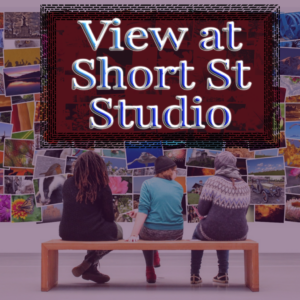View At Short St Studio