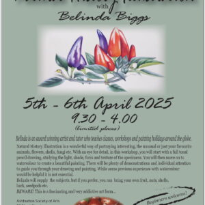 An Introduction to Natural History Illustration with Belinda Biggs Workshop