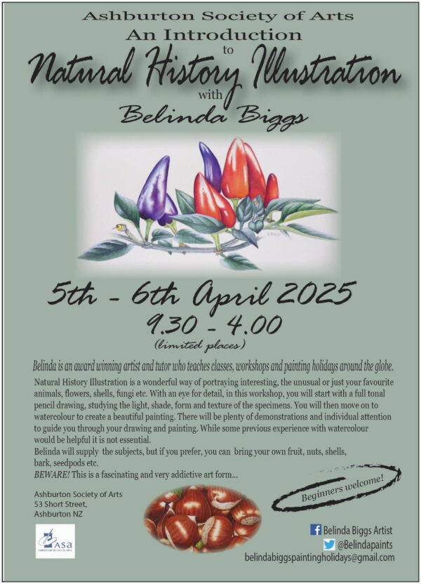 An Introduction to Natural History Illustration with Belinda Biggs Workshop